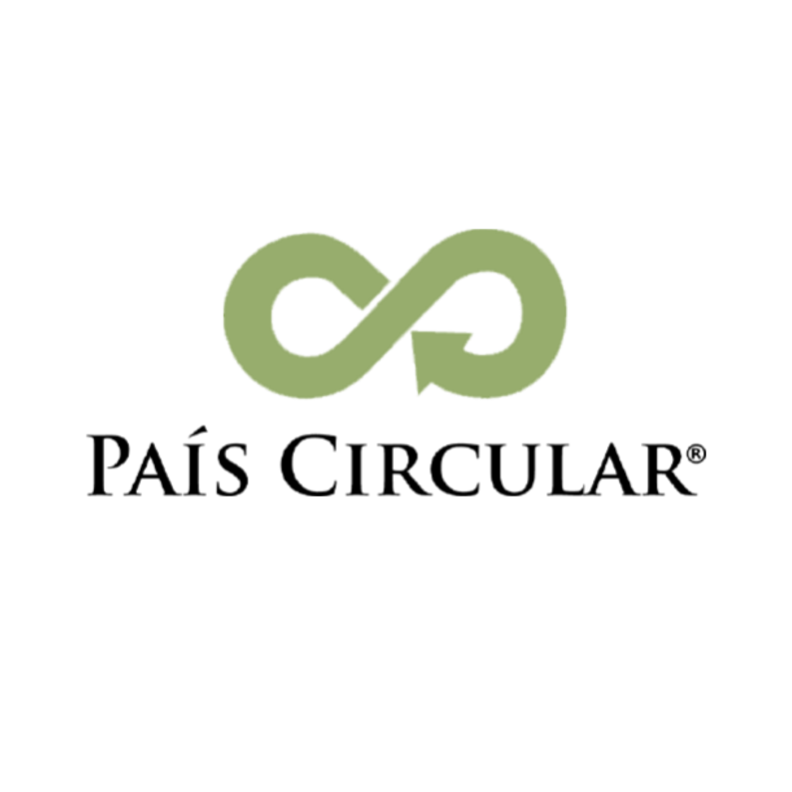 Logo Media Partner
